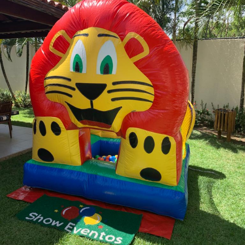 Piscina de Bolinhas Leão