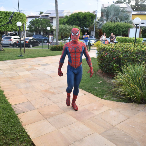Homem Aranha