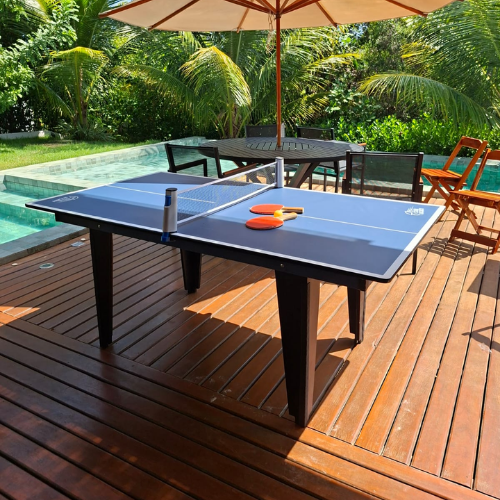 Ping Pong